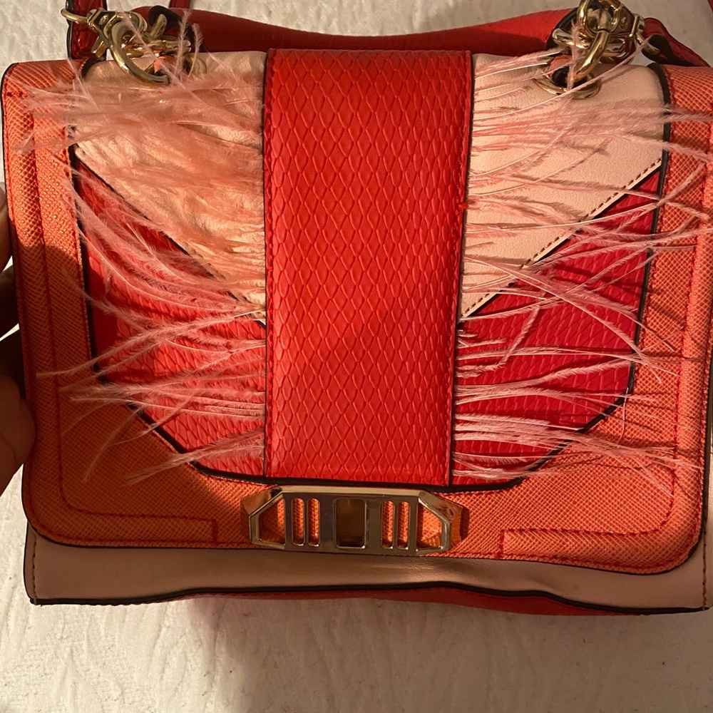 Aldo Bag